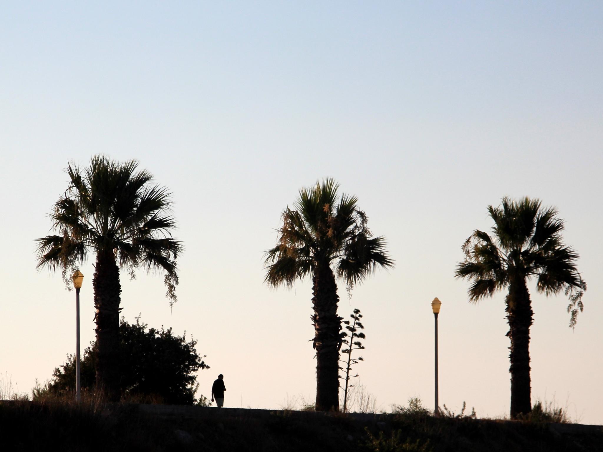 Rhodes City فندق أثينيون المظهر الخارجي الصورة